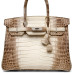 Hermès Himalaya Crocodile Birkin